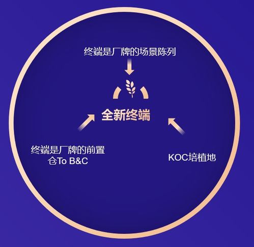 品牌精準(zhǔn)定位與新終端商渠道一體化 精釀啤酒的區(qū)域崛起之道